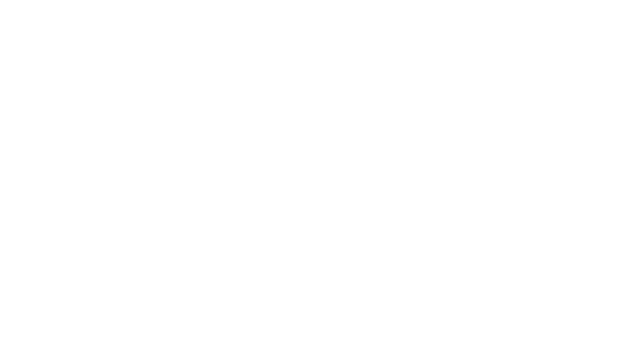 numeris logo